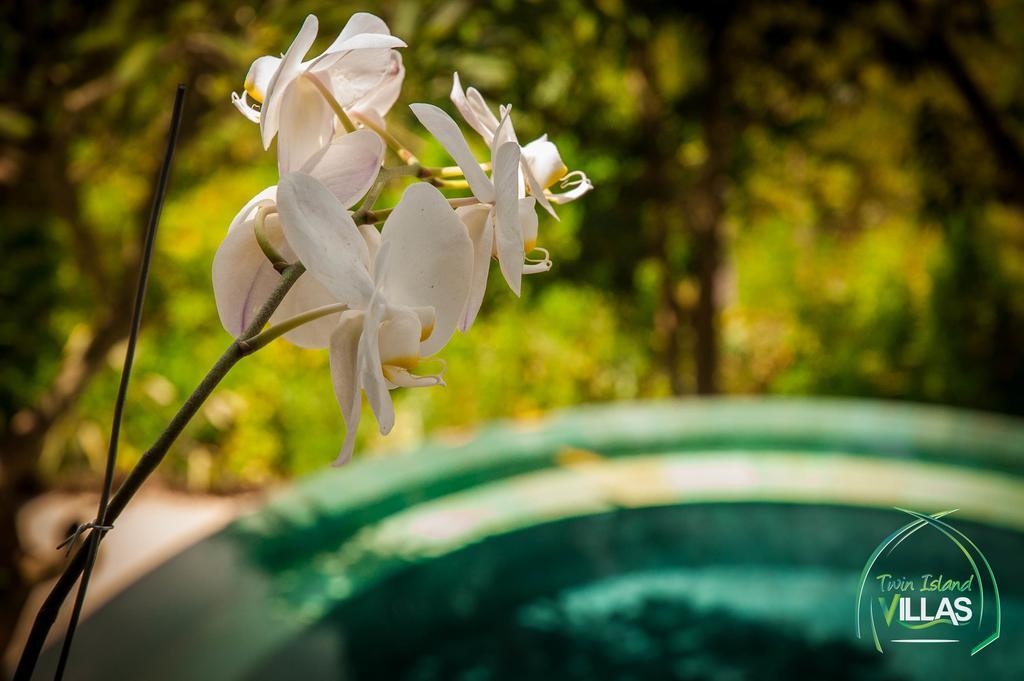 Twin Island Villas & Dive Resort Lembongan Εξωτερικό φωτογραφία